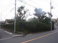RIMG5053