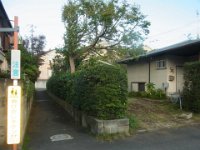 RIMG5145