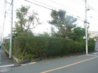 RIMG5149