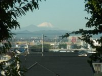2019年11月