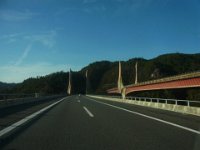 RIMG5238