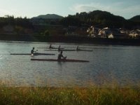 RIMG5358