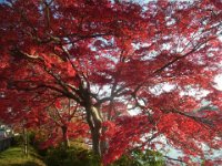 2019年12月