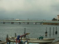 RIMG5874