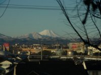 RIMG6346