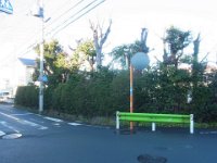 RIMG6369