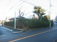 RIMG6371