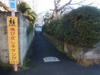 RIMG6373