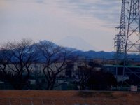 RIMG6546X