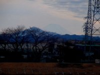 RIMG6547X