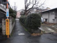 RIMG6582