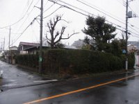 RIMG6587