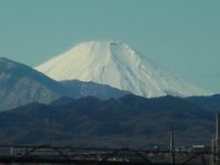 RIMG6596