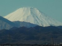 RIMG6597