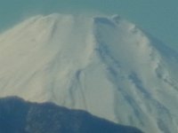 RIMG6608