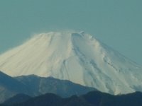 RIMG6614
