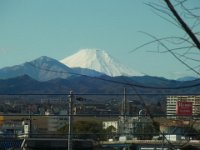 RIMG6617
