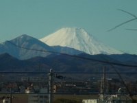 RIMG6619
