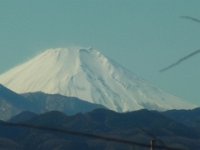 RIMG6621