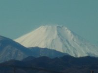 RIMG6622