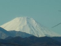 RIMG6623