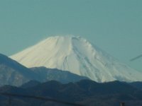 RIMG6624