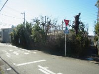 RIMG6631