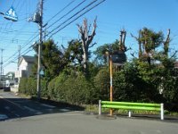 RIMG6632