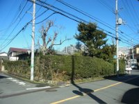 RIMG6634