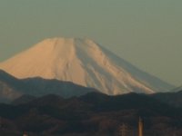 RIMG6674