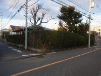 RIMG6692