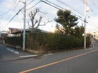 RIMG6693