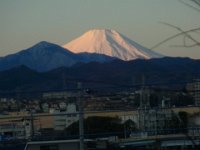 RIMG6703