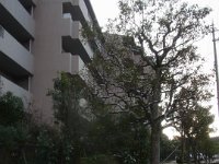 RIMG6820