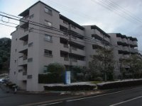 RIMG6948
