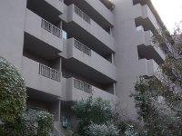 RIMG6964