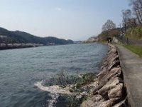 DSC00007