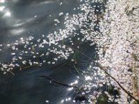DSC00010