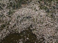 DSC00018