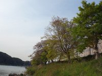 DSC00022