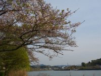 DSC00027