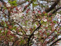 DSC00028