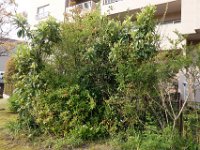 DSC00034