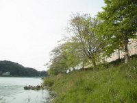 RIMG7546