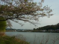 RIMG7554
