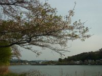 RIMG7555
