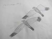 20200416
