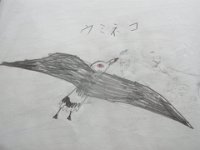 RIMG7569