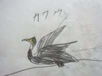RIMG7573