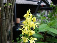 DSC00075